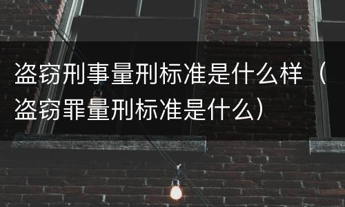 盗窃刑事量刑标准是什么样（盗窃罪量刑标准是什么）