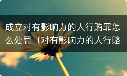成立对有影响力的人行贿罪怎么处罚（对有影响力的人行赂罪既遂标准）