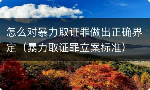 怎么对暴力取证罪做出正确界定（暴力取证罪立案标准）