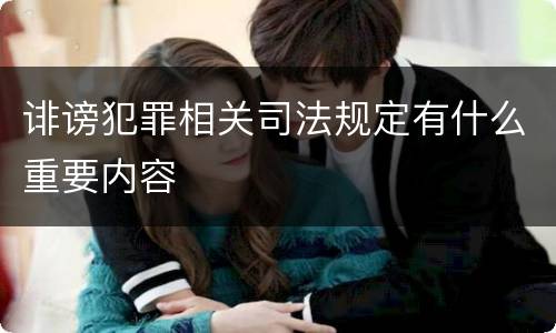 诽谤犯罪相关司法规定有什么重要内容