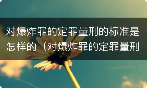 对爆炸罪的定罪量刑的标准是怎样的（对爆炸罪的定罪量刑的标准是怎样的呢）