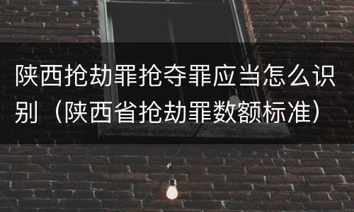 陕西抢劫罪抢夺罪应当怎么识别（陕西省抢劫罪数额标准）
