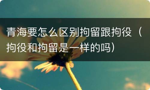 青海要怎么区别拘留跟拘役（拘役和拘留是一样的吗）