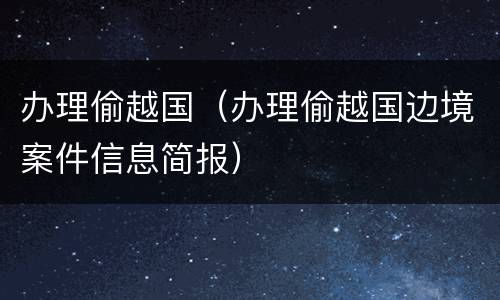 办理偷越国（办理偷越国边境案件信息简报）