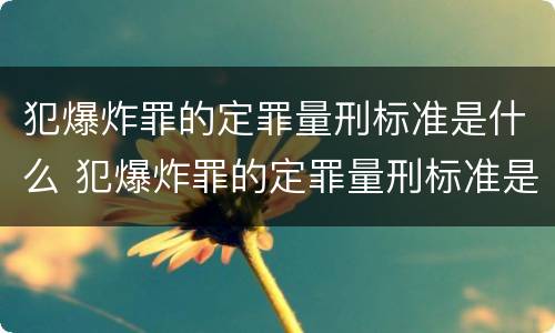 犯爆炸罪的定罪量刑标准是什么 犯爆炸罪的定罪量刑标准是什么意思