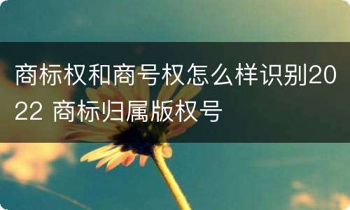 商标权和商号权怎么样识别2022 商标归属版权号