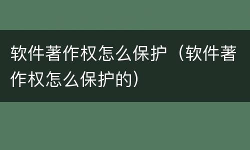 软件著作权怎么保护（软件著作权怎么保护的）