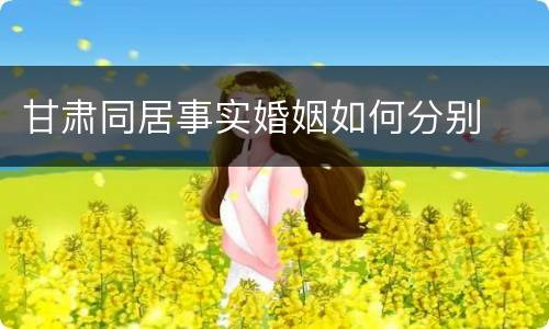 甘肃同居事实婚姻如何分别