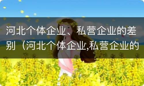 河北个体企业、私营企业的差别（河北个体企业,私营企业的差别大吗）