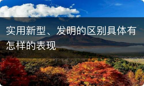 实用新型、发明的区别具体有怎样的表现