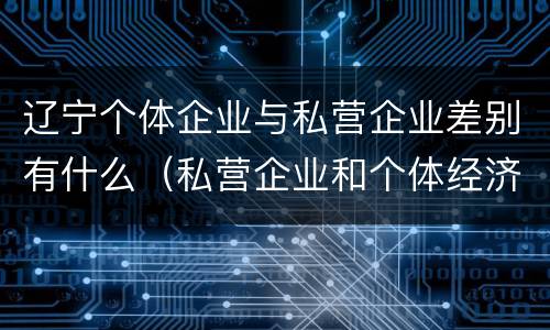 辽宁个体企业与私营企业差别有什么（私营企业和个体经济的区别）