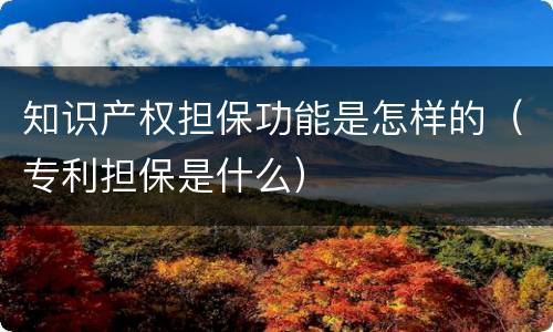 知识产权担保功能是怎样的（专利担保是什么）