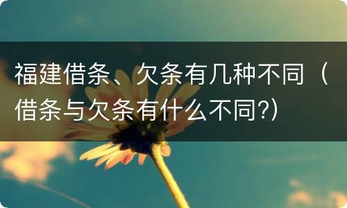 福建借条、欠条有几种不同（借条与欠条有什么不同?）
