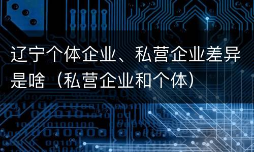 辽宁个体企业、私营企业差异是啥（私营企业和个体）