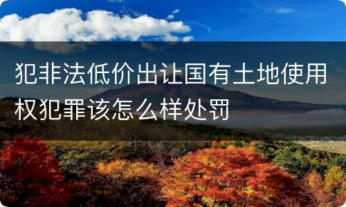 犯非法低价出让国有土地使用权犯罪该怎么样处罚