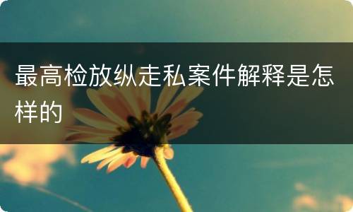 最高检放纵走私案件解释是怎样的