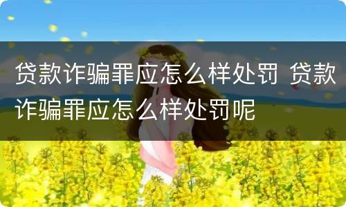 贷款诈骗罪应怎么样处罚 贷款诈骗罪应怎么样处罚呢