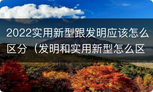 2022实用新型跟发明应该怎么区分（发明和实用新型怎么区分）