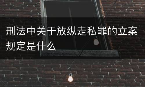 刑法中关于放纵走私罪的立案规定是什么