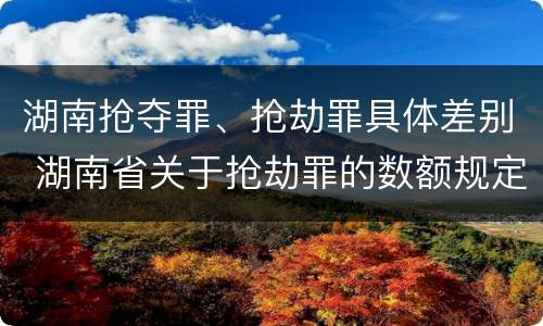 湖南抢夺罪、抢劫罪具体差别 湖南省关于抢劫罪的数额规定