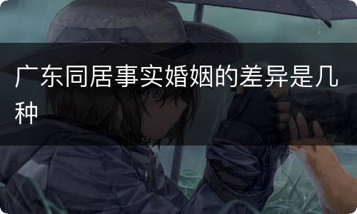 广东同居事实婚姻的差异是几种