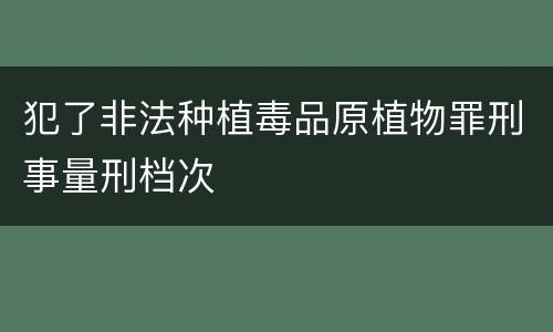犯了非法种植毒品原植物罪刑事量刑档次