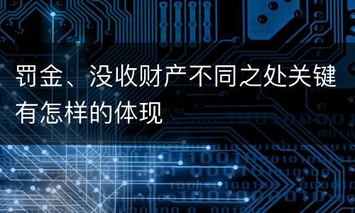 罚金、没收财产不同之处关键有怎样的体现