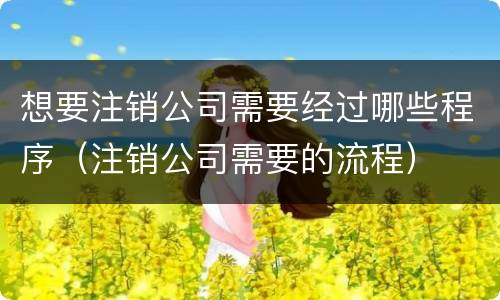 想要注销公司需要经过哪些程序（注销公司需要的流程）