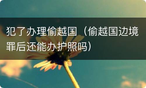 犯了办理偷越国（偷越国边境罪后还能办护照吗）