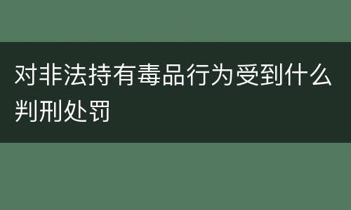 对非法持有毒品行为受到什么判刑处罚