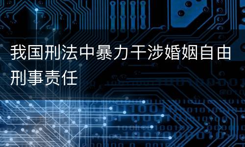 我国刑法中暴力干涉婚姻自由刑事责任