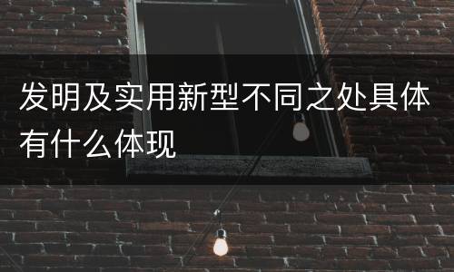发明及实用新型不同之处具体有什么体现