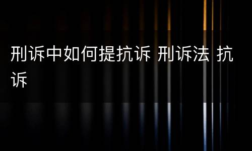 刑诉中如何提抗诉 刑诉法 抗诉
