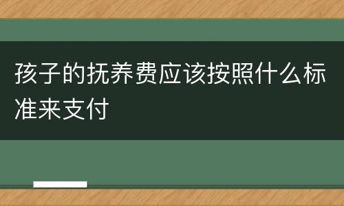 孩子的抚养费应该按照什么标准来支付