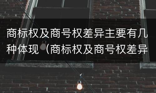 商标权及商号权差异主要有几种体现（商标权及商号权差异主要有几种体现方法）