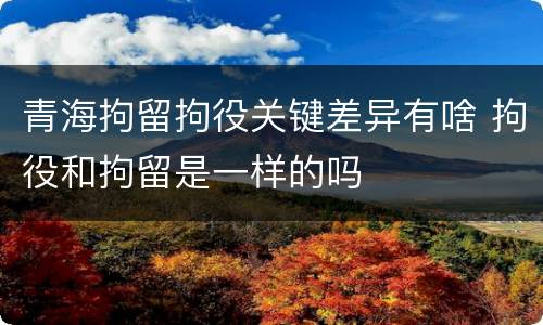 青海拘留拘役关键差异有啥 拘役和拘留是一样的吗