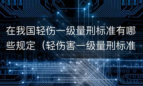 在我国轻伤一级量刑标准有哪些规定（轻伤害一级量刑标准）