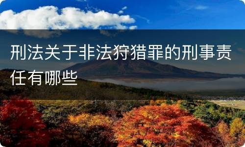 刑法关于非法狩猎罪的刑事责任有哪些