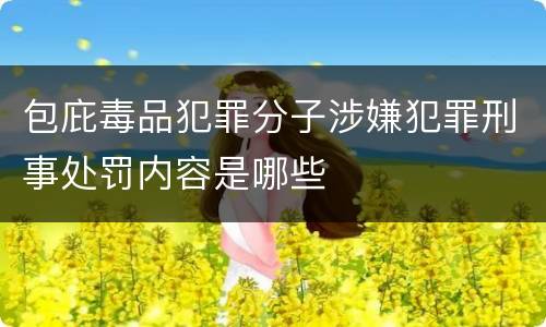 包庇毒品犯罪分子涉嫌犯罪刑事处罚内容是哪些