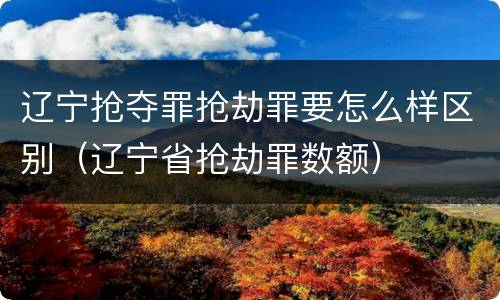 辽宁抢夺罪抢劫罪要怎么样区别（辽宁省抢劫罪数额）