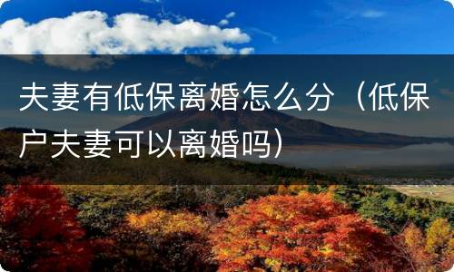 夫妻有低保离婚怎么分（低保户夫妻可以离婚吗）