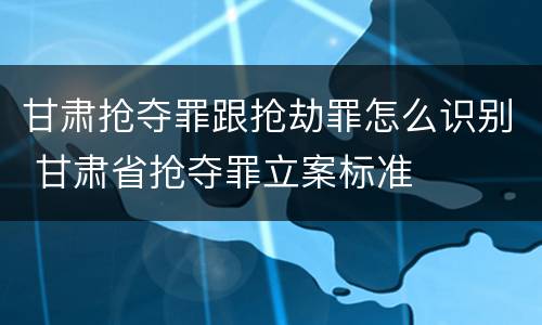 甘肃抢夺罪跟抢劫罪怎么识别 甘肃省抢夺罪立案标准