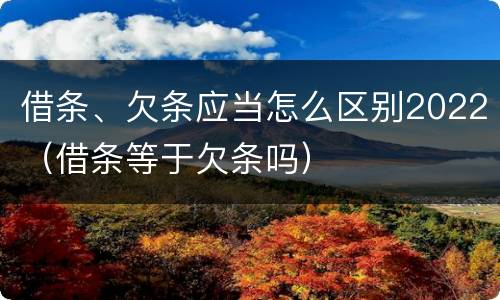 借条、欠条应当怎么区别2022（借条等于欠条吗）