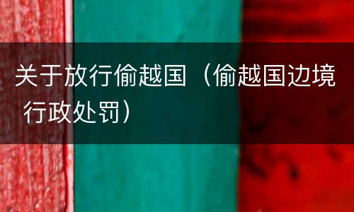 关于放行偷越国（偷越国边境 行政处罚）