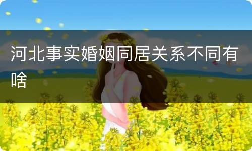 河北事实婚姻同居关系不同有啥