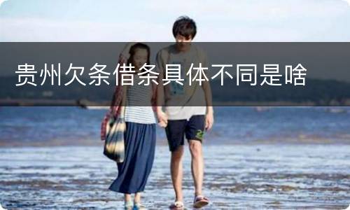 贵州欠条借条具体不同是啥