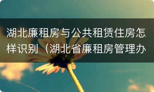 湖北廉租房与公共租赁住房怎样识别（湖北省廉租房管理办法）