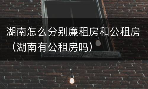 湖南怎么分别廉租房和公租房（湖南有公租房吗）