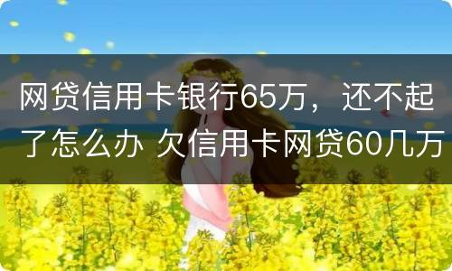 网贷信用卡银行65万，还不起了怎么办 欠信用卡网贷60几万