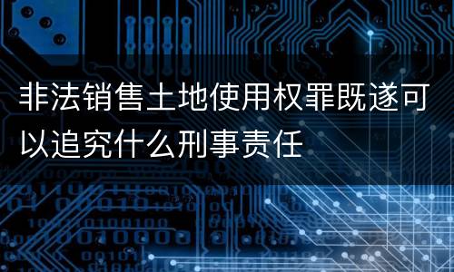 非法销售土地使用权罪既遂可以追究什么刑事责任